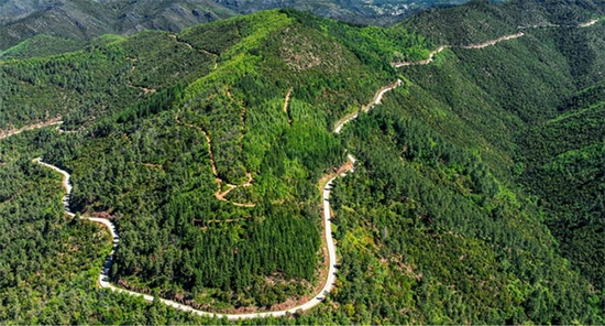 cévennes